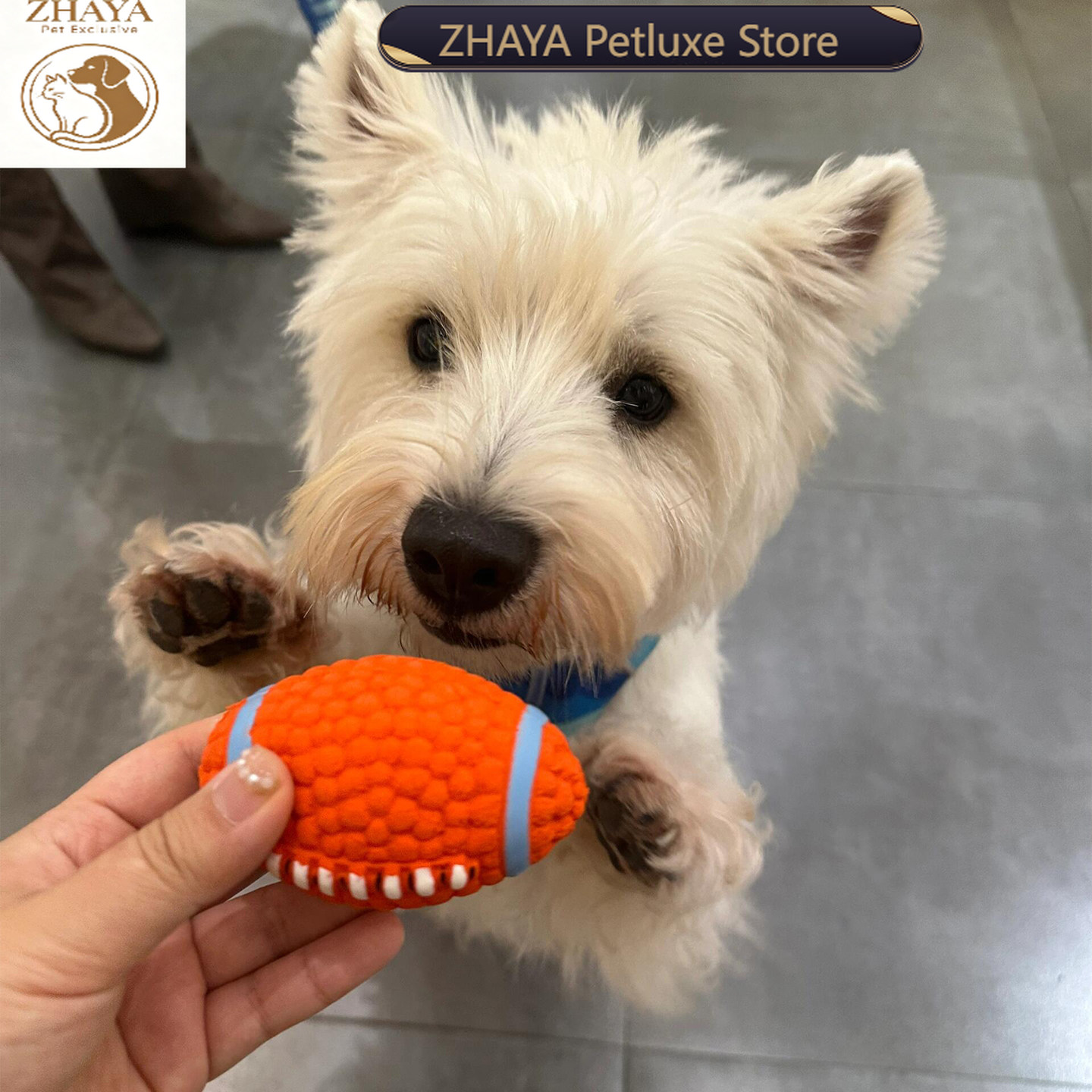 ZHAYA Pet Squeaky Interactieve - Rugby Training Ball recensie en prijs