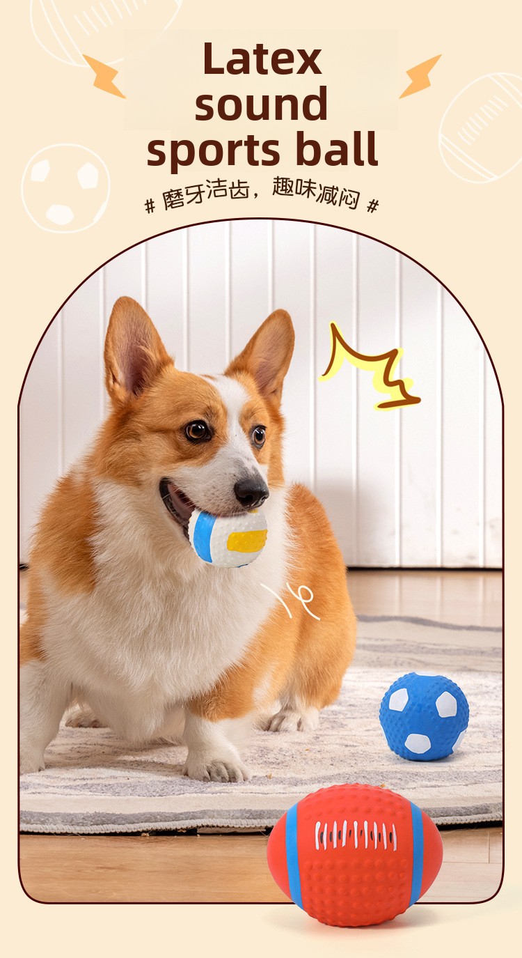 ZHAYA Pet Squeaky Interactieve - Rugby Training Ball recensie en prijs