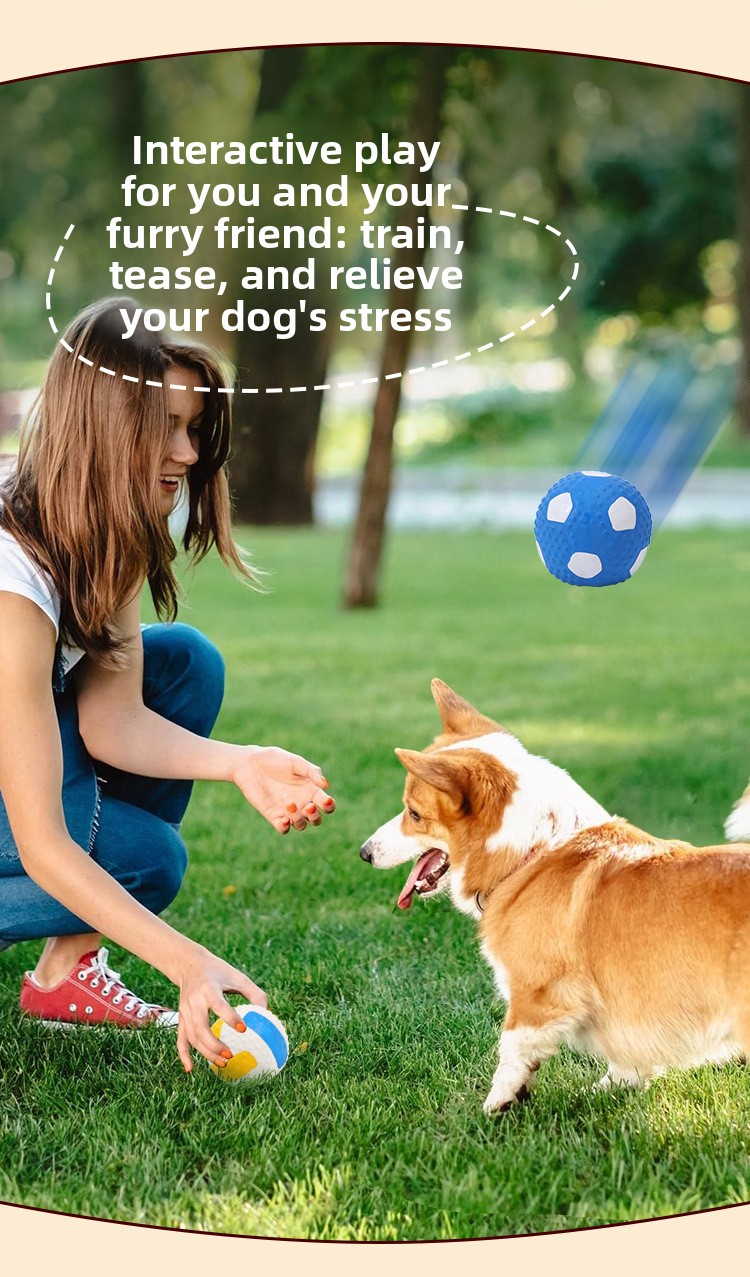 ZHAYA Pet Squeaky Interactieve - Rugby Training Ball recensie en prijs