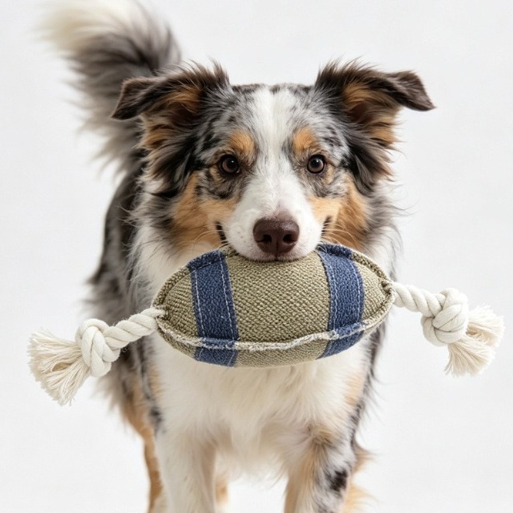 Bijtbestendige hondenspeelgoed - Rugby Training Ball recensie en prijs